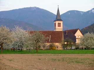 Grunnern mit Blick in den Schwarzwald Richtung Münstertal